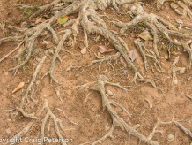 Outside Rabat, Morocco