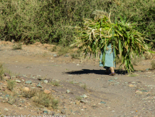 Village in Middle Atlas Mountains, Morocco