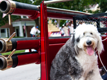 Parade in Evanston, Il