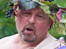 Parade in Evanston, Il