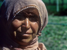 rural anatalya turkey.jpg